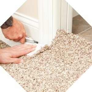 Wall-to-Wall Carpet Cleaning
