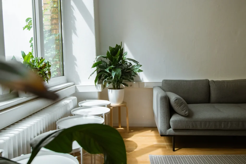 Why Choose Curtain Cleaning For Sofa Cleaning
